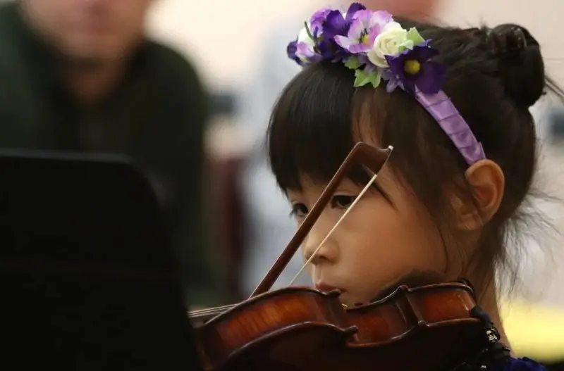 Suzuki Violin